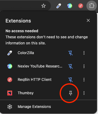 Pinning Thumbsy from the Chrome extensions menu